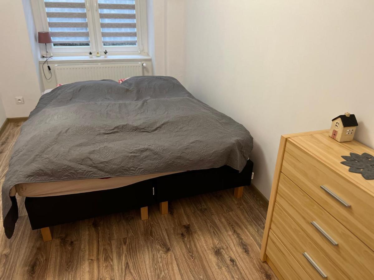 Апартаменты Apartament 3 Pokojowy Z Parkingiem Зомбковице-Слёнске Экстерьер фото